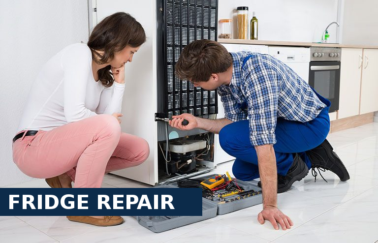 Fridge Repair West Horsley